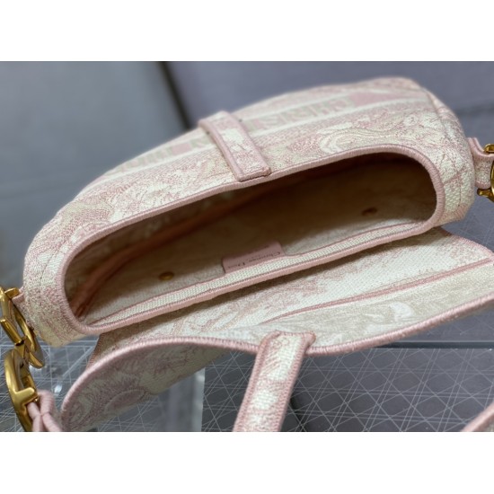 Dior Saddle