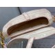 Dior Saddle