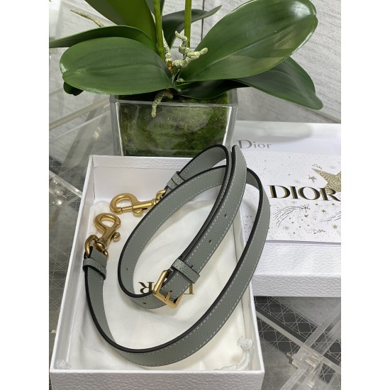 Dior Saddle