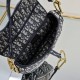 Dior Saddle