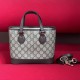 Gucci Ophidia