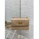 Dior Caro
