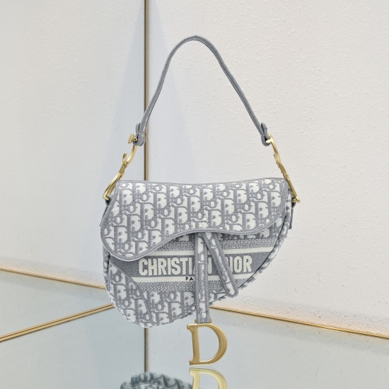 Dior Saddle