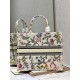 Dior Book Tote