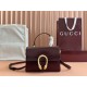Gucci Dionysus