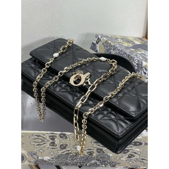 Dior Lady