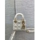Dior Lady