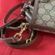 Gucci Ophidia