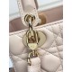 Dior Lady