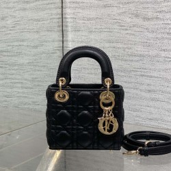 Dior Lady