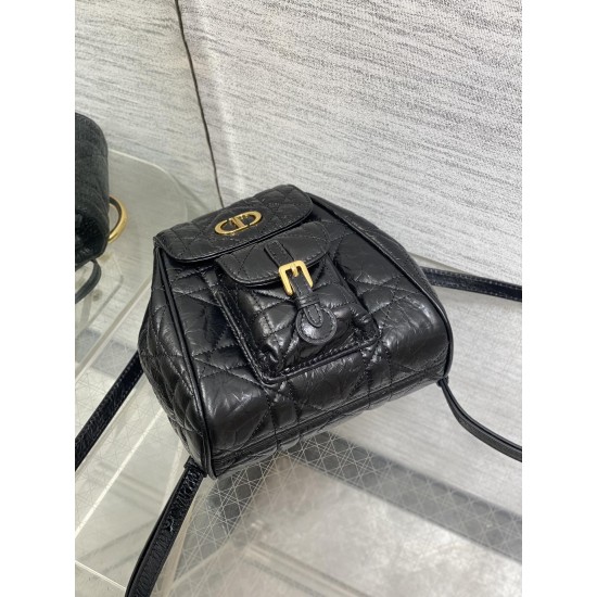 Dior Caro