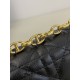 Dior Caro