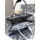 Dior Book Tote