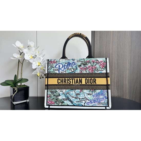 Dior Book Tote