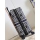 Dior Suitcase