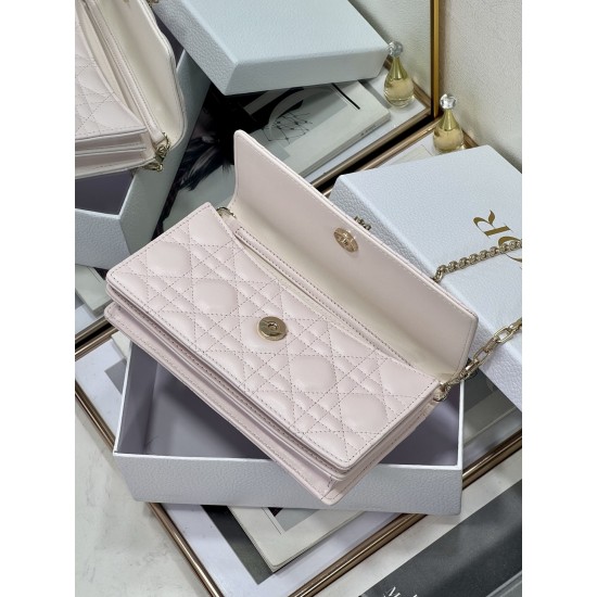 Dior Lady