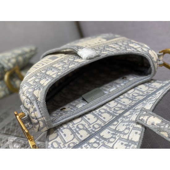 Dior Saddle