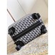 Dior Suitcase