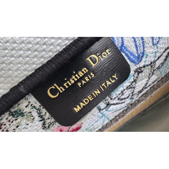 Dior Book Tote