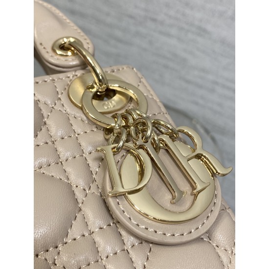 Dior Lady