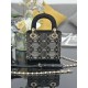 Dior Lady