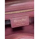 Dior Caro