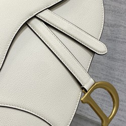 Dior Saddle