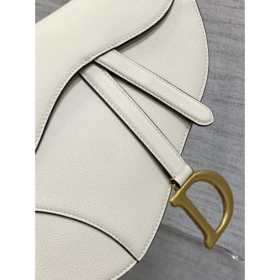 Dior Saddle