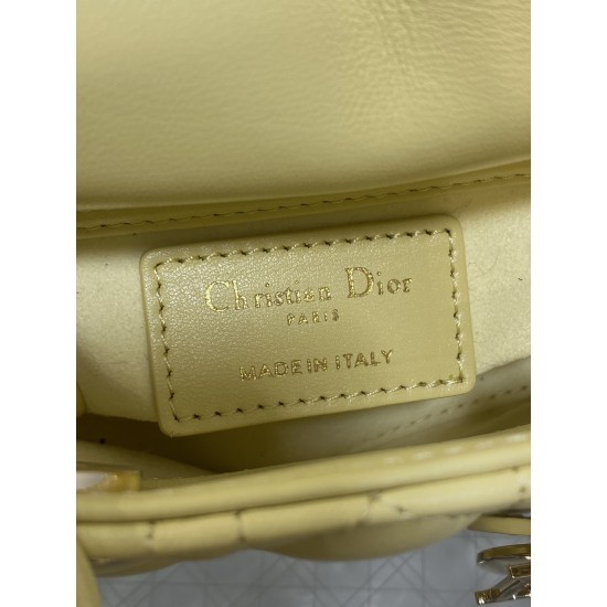 Dior Lady