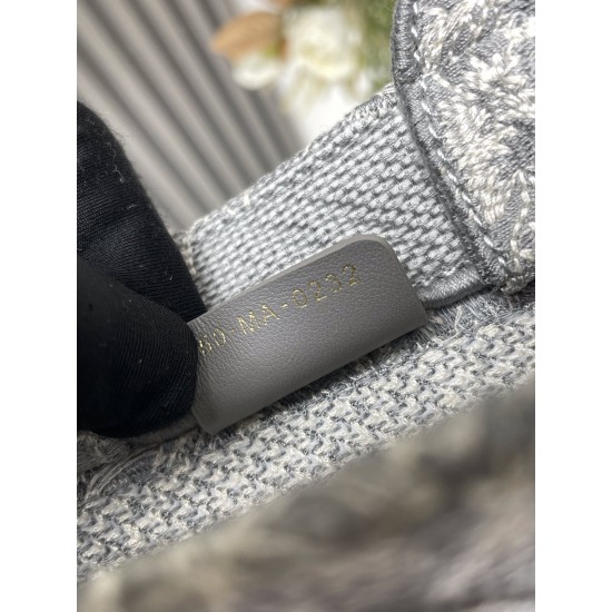 Dior Book Tote