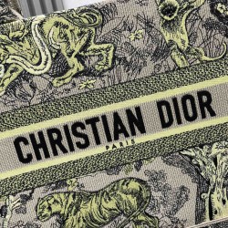 Dior Book Tote