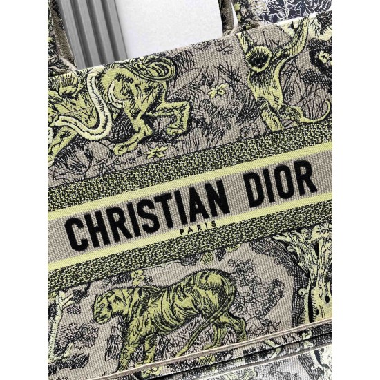 Dior Book Tote
