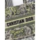 Dior Book Tote