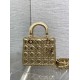 Dior Lady