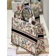 Dior Book Tote