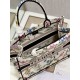 Dior Book Tote