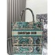 Dior Book Tote