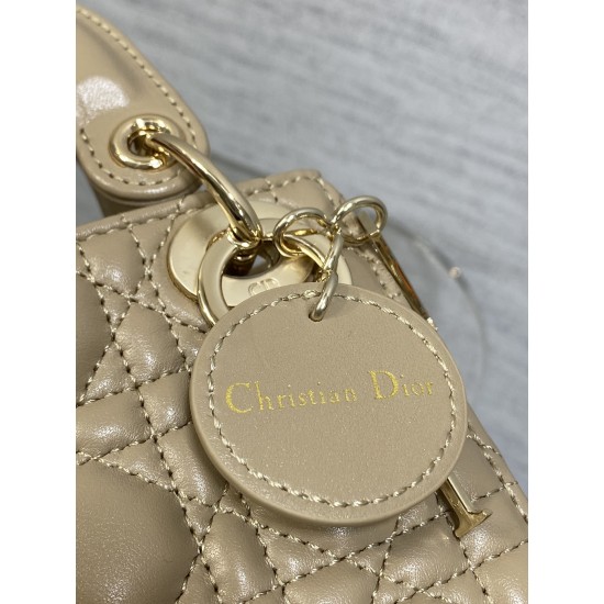 Dior Lady