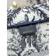 Dior Book Tote
