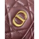 Dior Caro