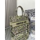 Dior Book Tote