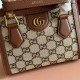 Gucci Diana