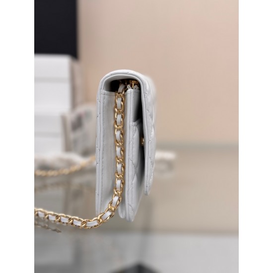 CHANEL WOC