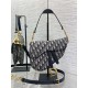 Dior Saddle