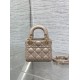 Dior Lady