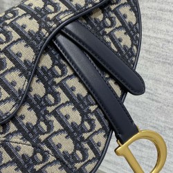 Dior Saddle