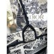 Dior Book Tote