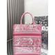 Dior Book Tote