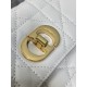 Dior Caro