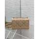 Dior Caro